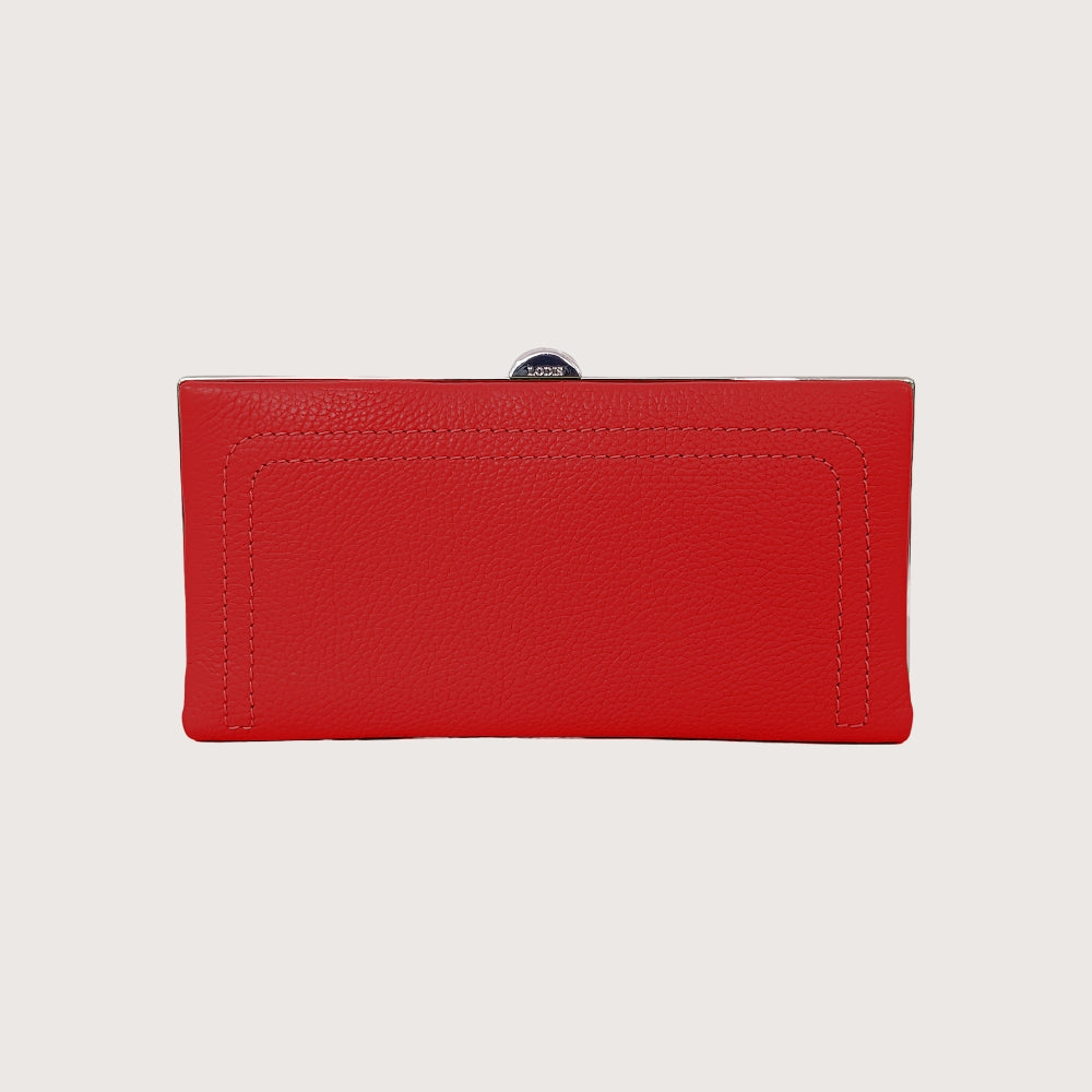 Quinn Clutch Framed Wallet